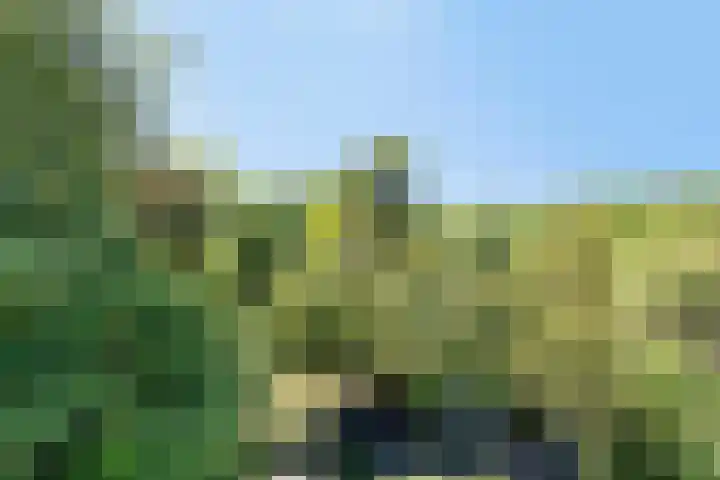 Hoofdweg 115 Schildwolde thumbnail 40