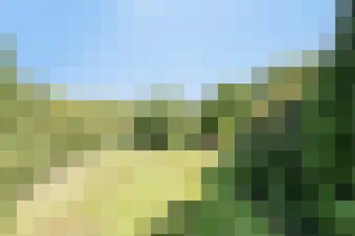 Hoofdweg 115 Schildwolde thumbnail 43