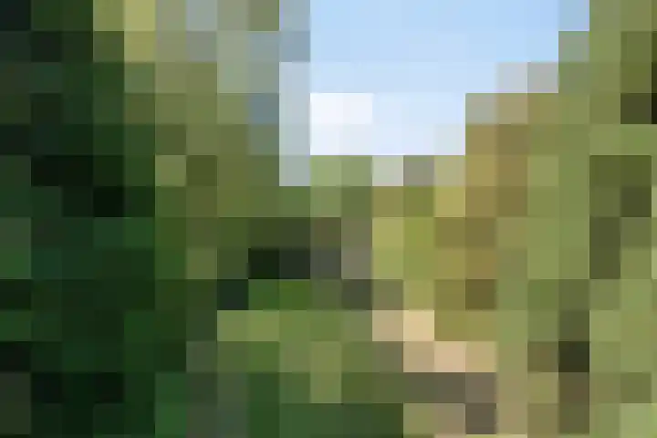 Hoofdweg 115 Schildwolde thumbnail 44