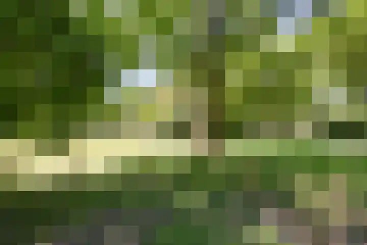 Hoofdweg 115 Schildwolde thumbnail 51