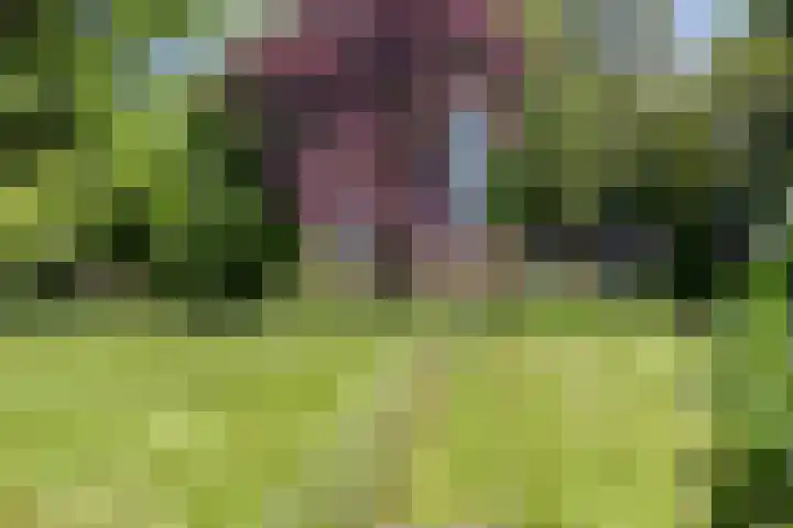 Hoofdweg 115 Schildwolde thumbnail 58