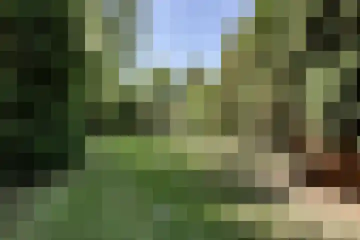 Hoofdweg 115 Schildwolde thumbnail 60