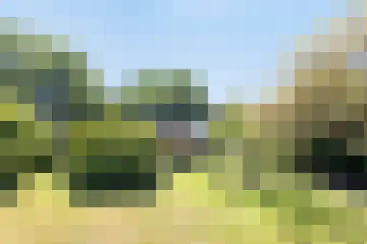 Hoofdweg 115 Schildwolde thumbnail 63