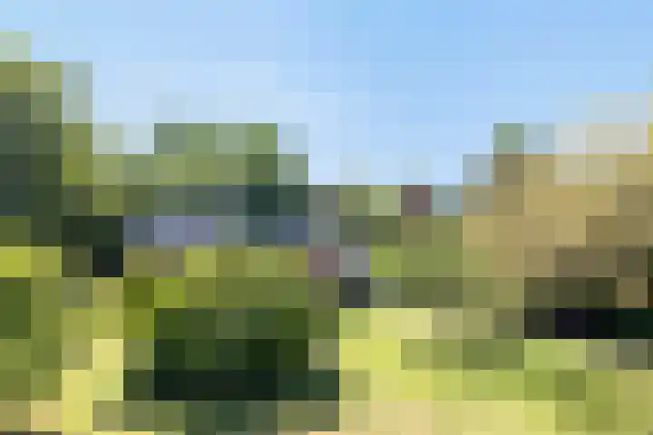 Hoofdweg 115 Schildwolde thumbnail 65