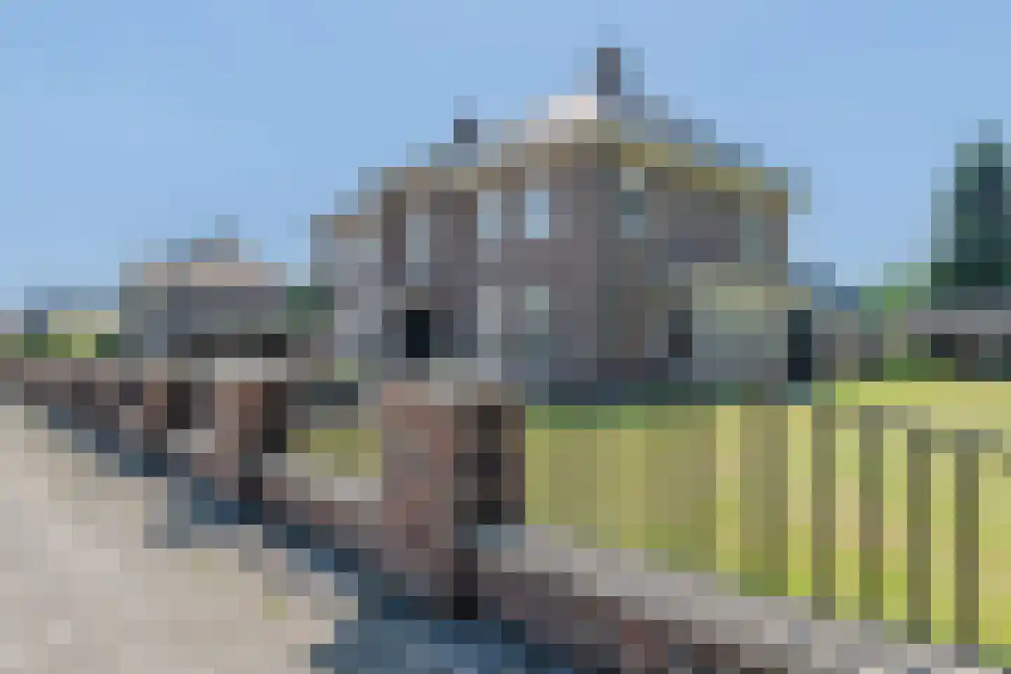 Hoofdweg 115 Westerhaar-Vriezenveensewijk thumbnail 4