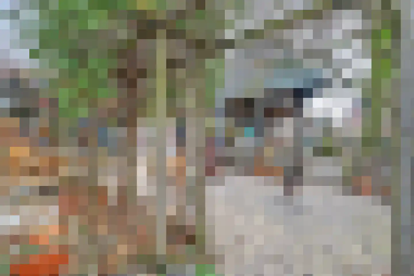 Hoofdweg 116 Ederveen thumbnail 55