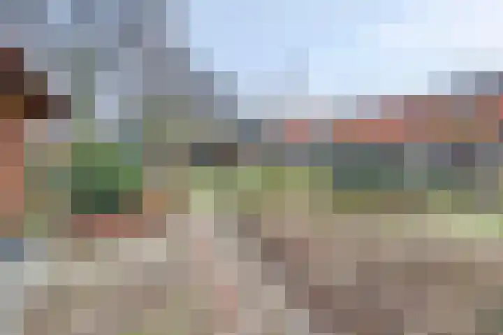 Hoofdweg 116 Ederveen thumbnail 58