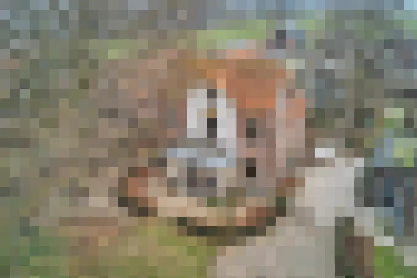 Hoofdweg 116 Ederveen thumbnail 61