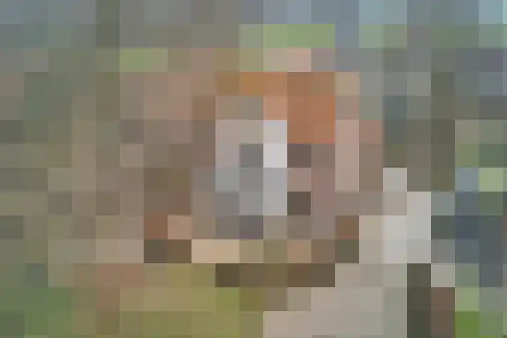 Hoofdweg 116 Ederveen thumbnail 61