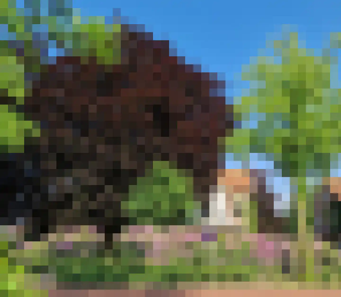 Hoofdweg 116 Ederveen thumbnail 62