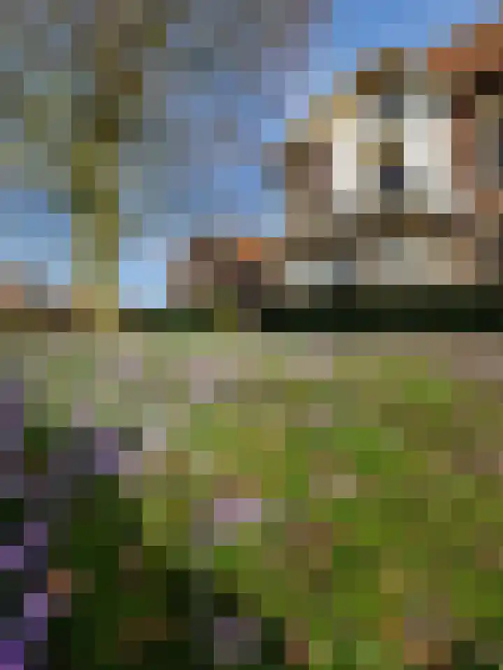 Hoofdweg 116 Ederveen thumbnail 63