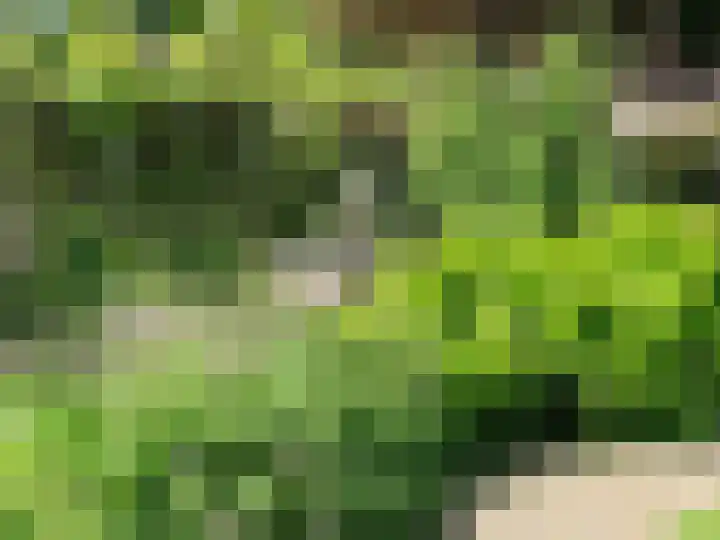 Hoofdweg 116 Ederveen thumbnail 64
