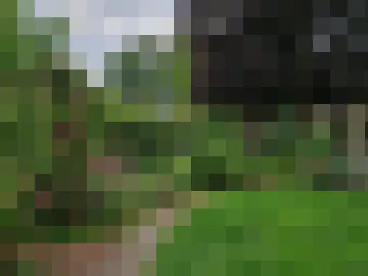 Hoofdweg 116 Ederveen thumbnail 65