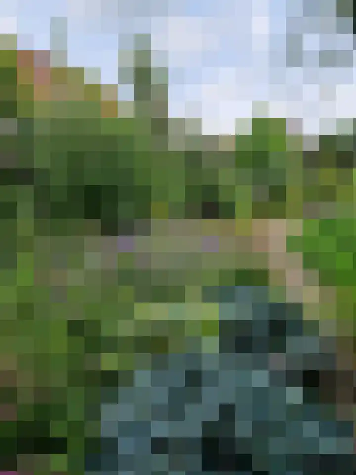 Hoofdweg 116 Ederveen thumbnail 66