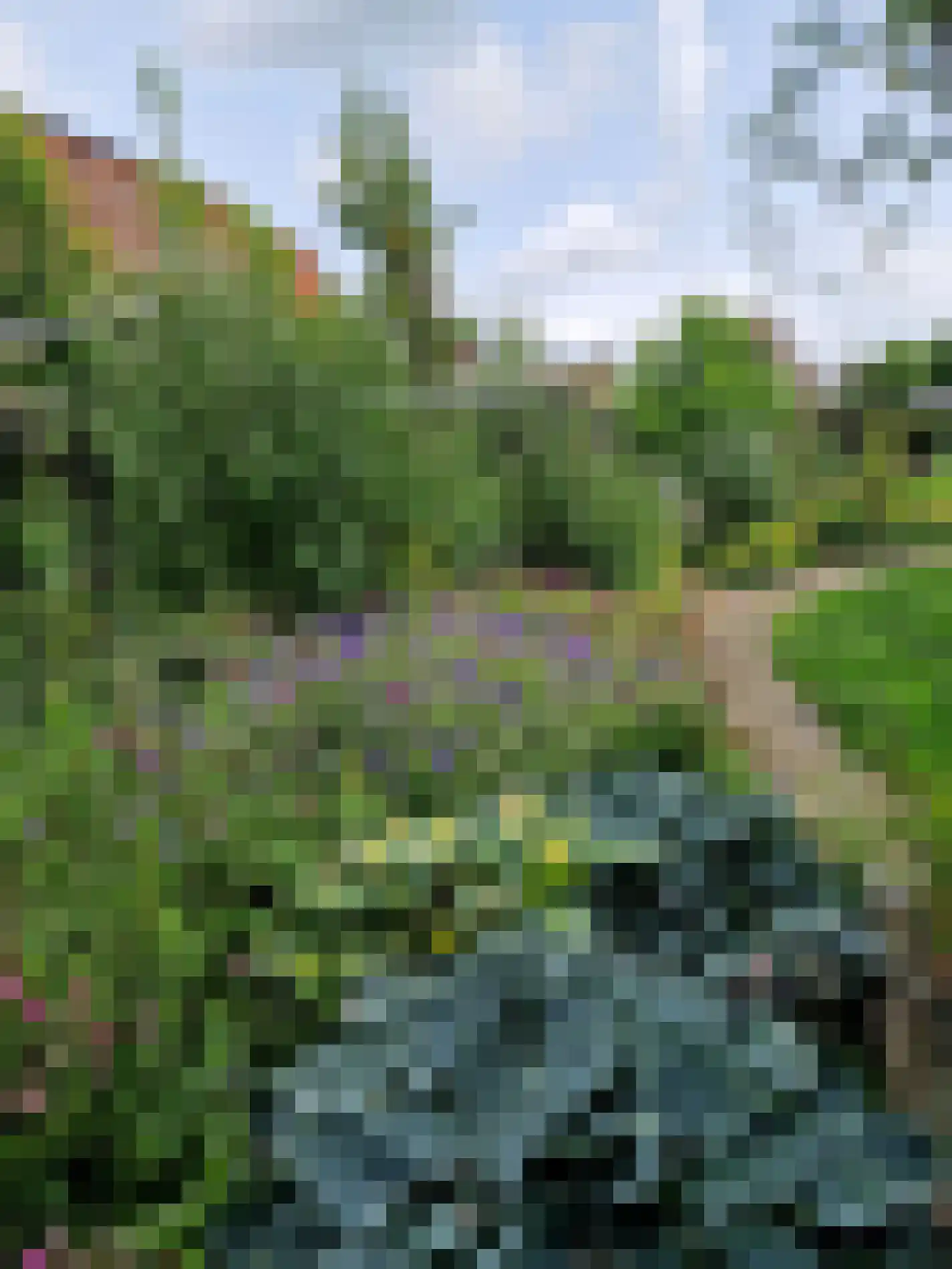 Hoofdweg 116 Ederveen thumbnail 66