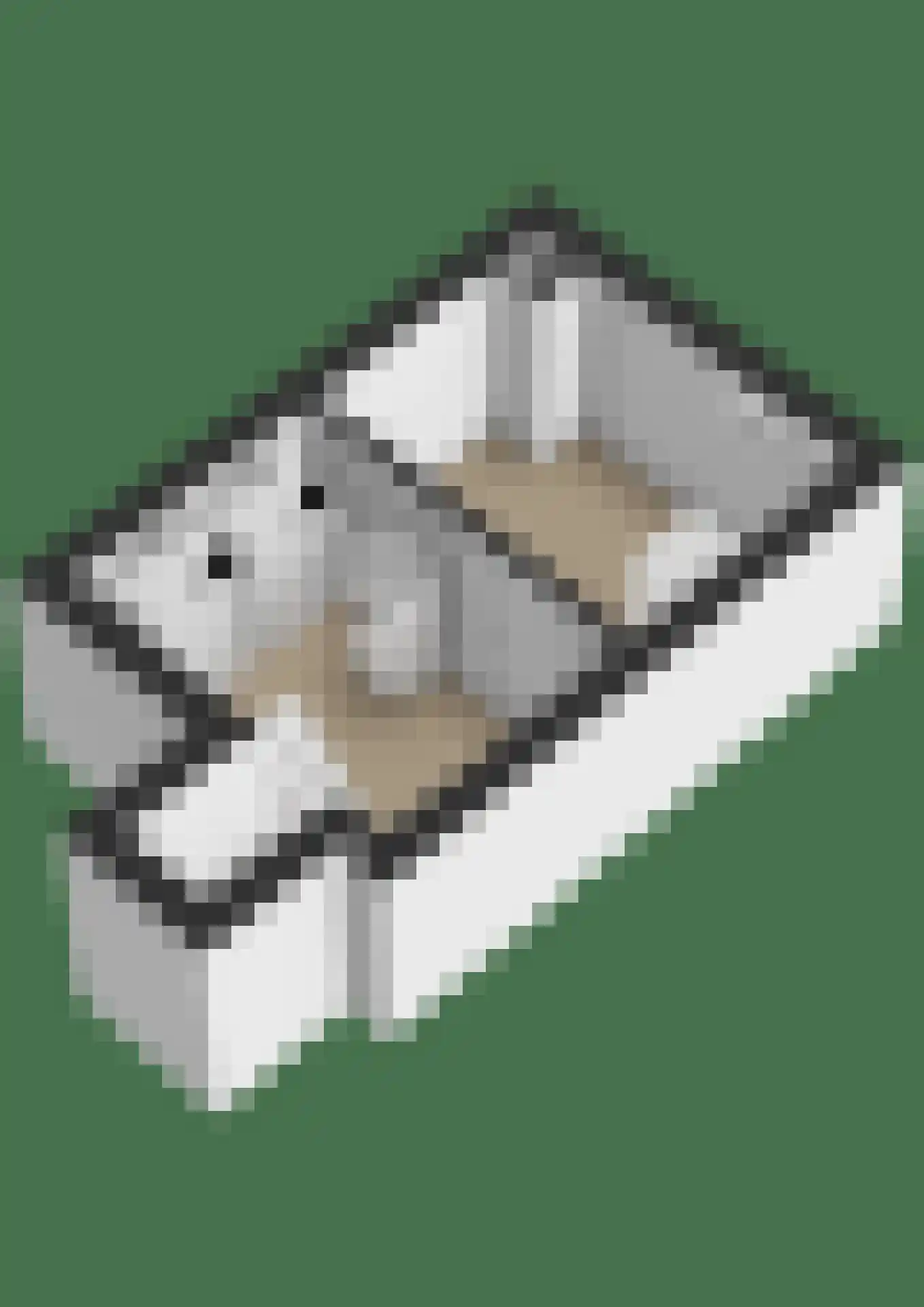 Hoofdweg 116 Ederveen thumbnail 79
