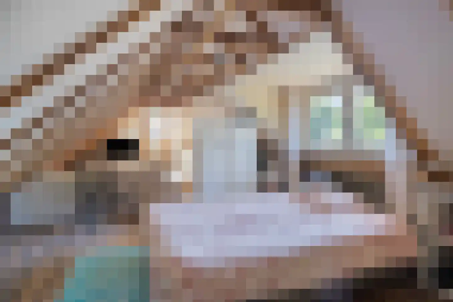 Hoofdweg 116 Kolham thumbnail 21