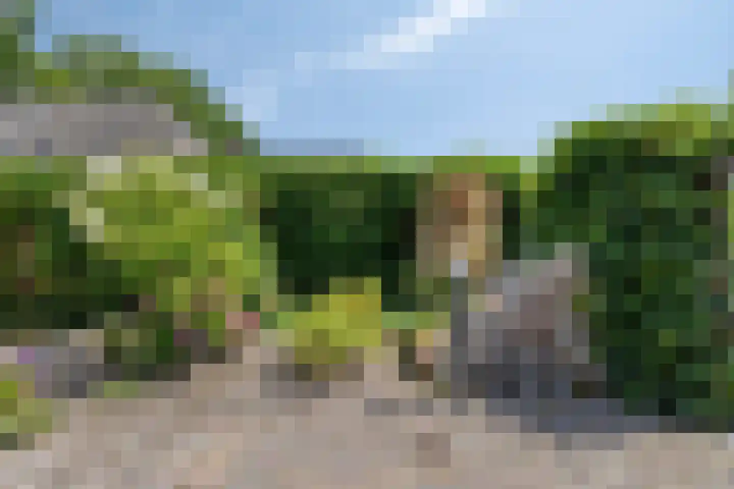 Hoofdweg 116 Kolham thumbnail 31