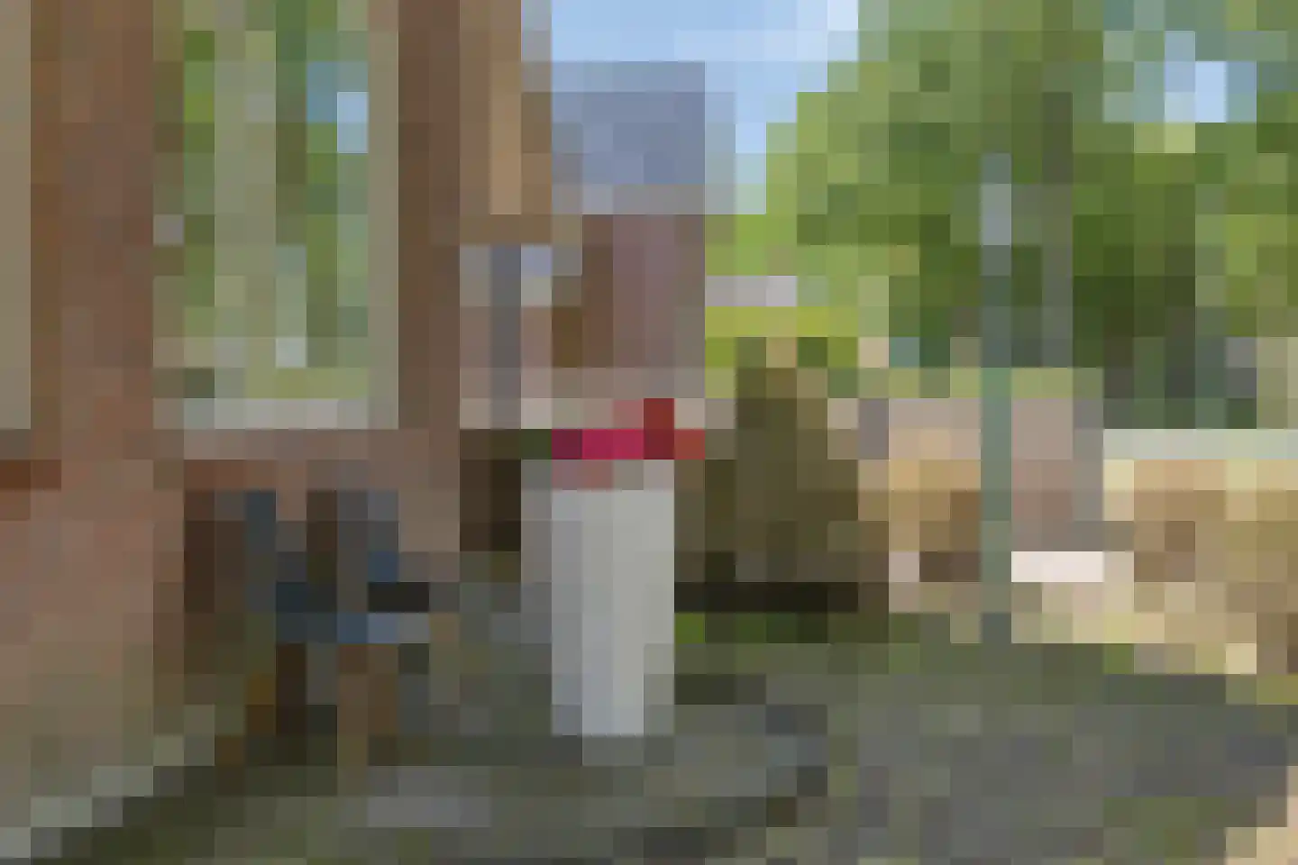Hoofdweg 116 Kolham thumbnail 42