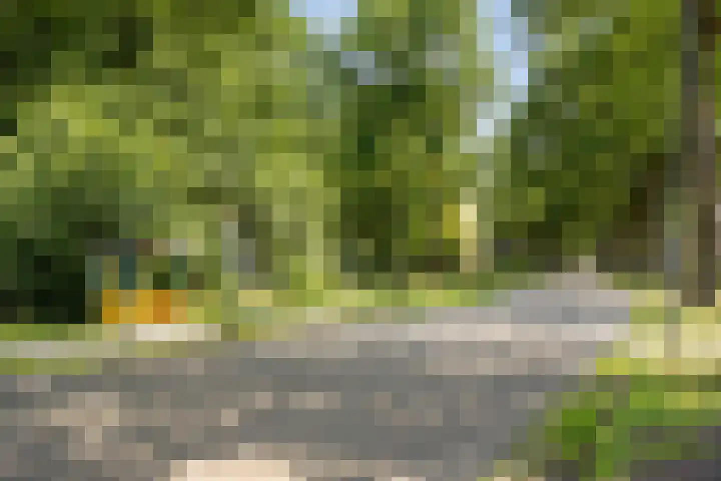 Hoofdweg 116 Kolham thumbnail 46