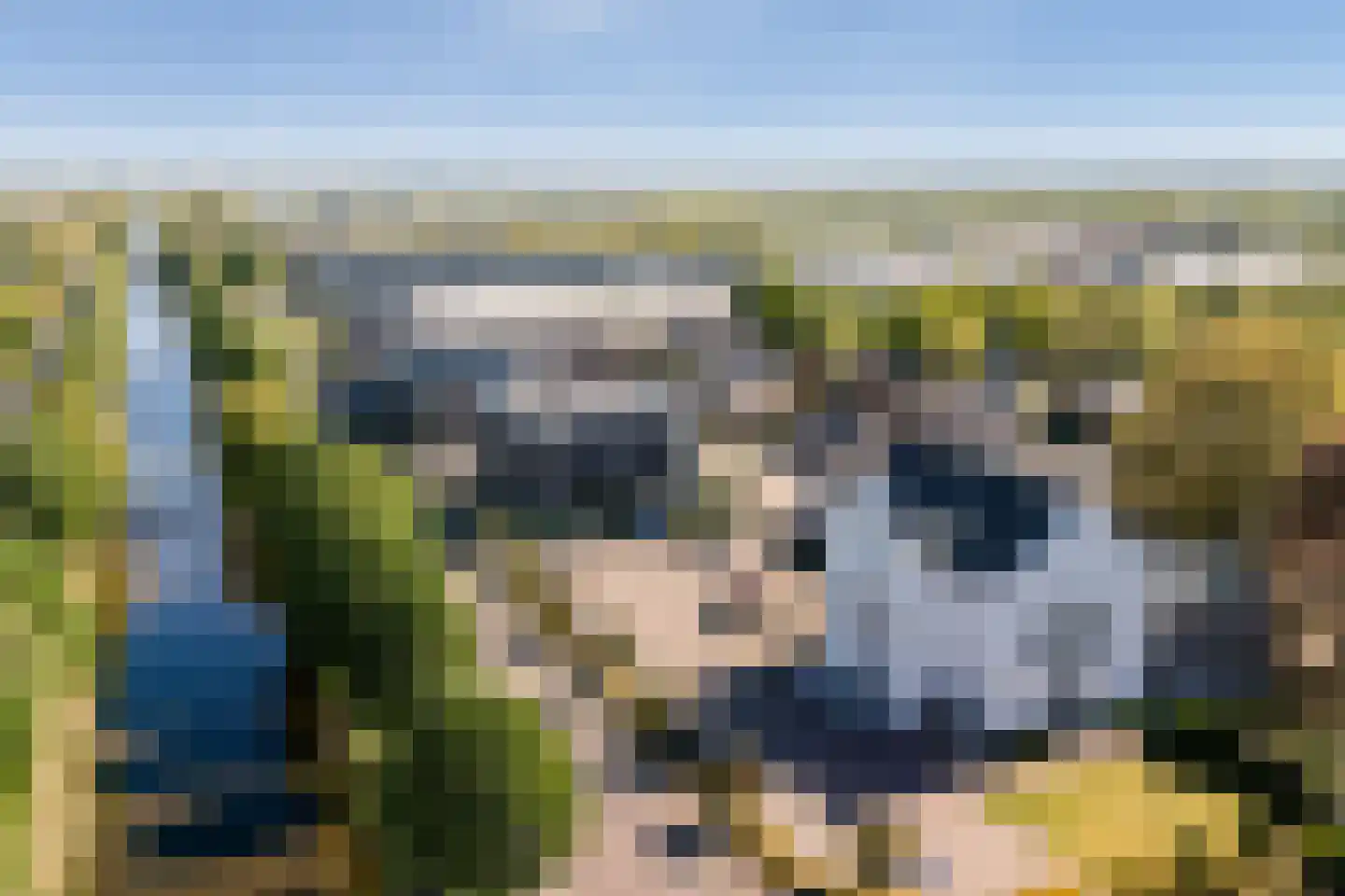 Hoofdweg 1161 Nieuw-Vennep thumbnail 69