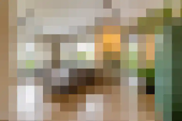 Hoofdweg 117 Eelde thumbnail 13