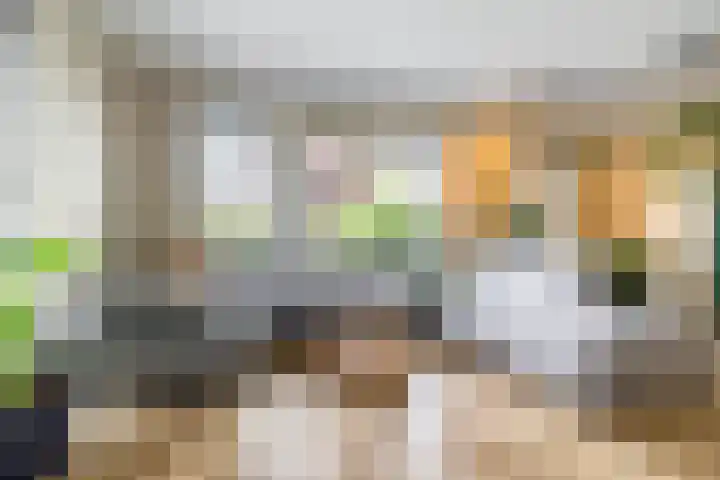 Hoofdweg 117 Eelde thumbnail 16