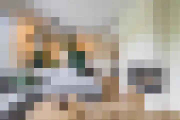 Hoofdweg 117 Eelde thumbnail 17