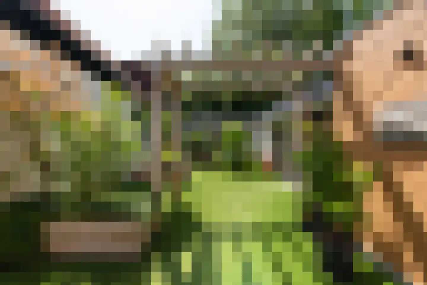 Hoofdweg 117 Lijnden thumbnail 13