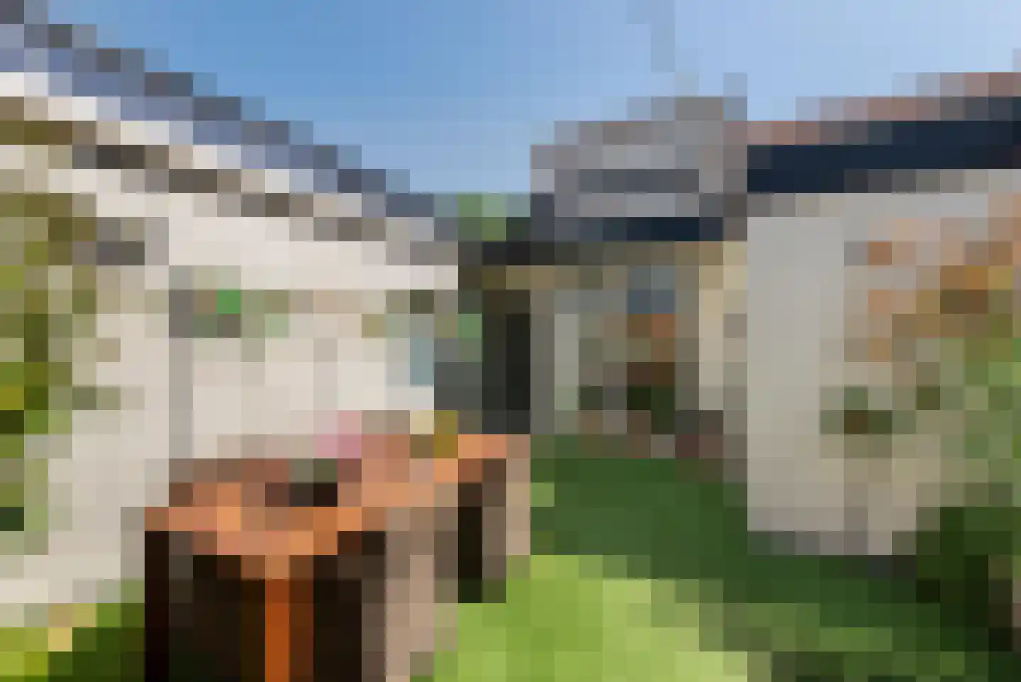 Hoofdweg 117 Lijnden thumbnail 16