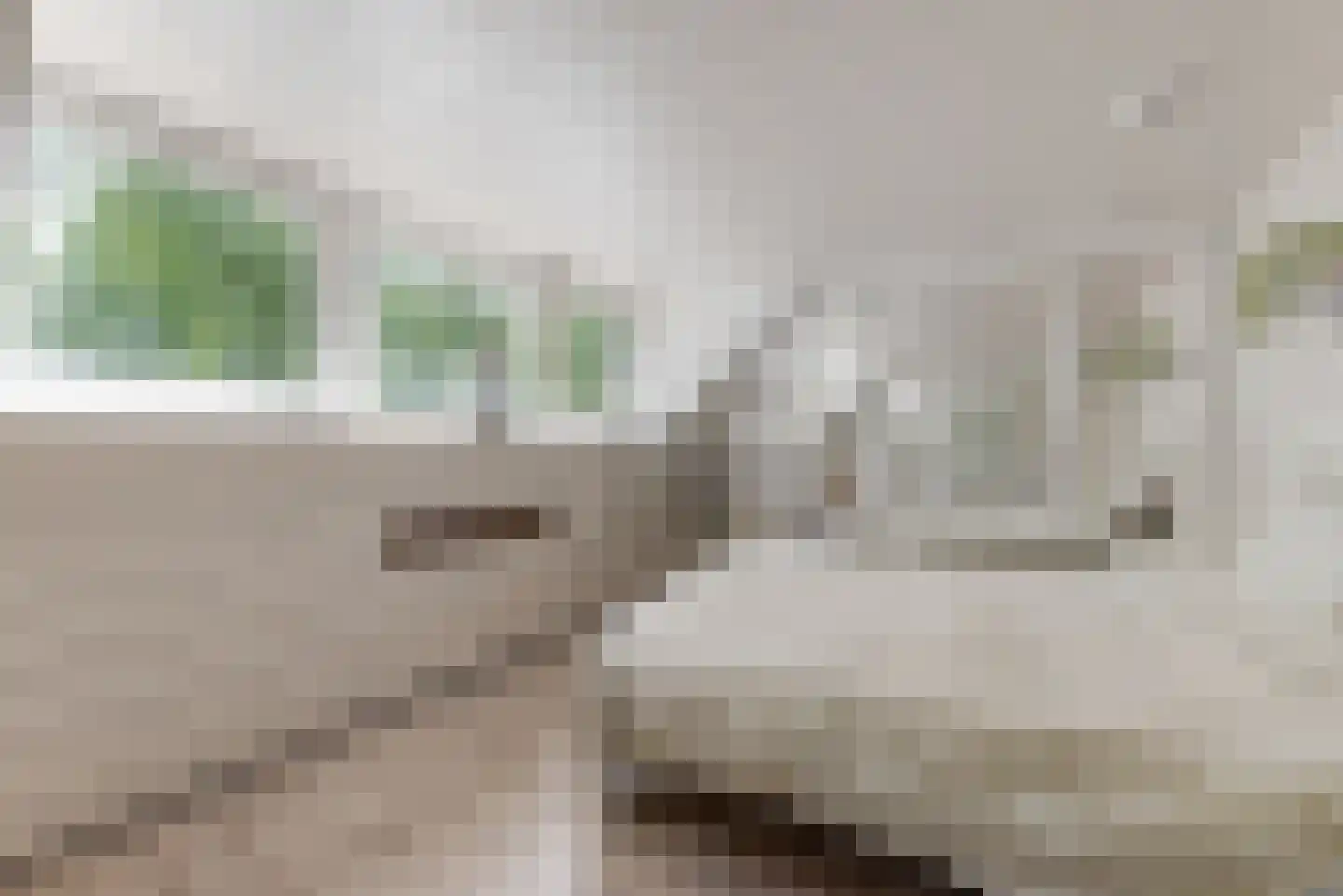 Hoofdweg 117 Lijnden thumbnail 20
