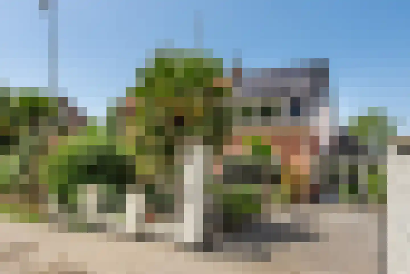 Hoofdweg 117 Lijnden thumbnail 31