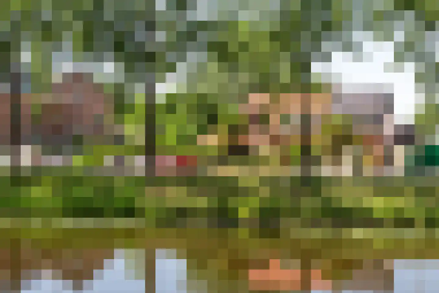 Hoofdweg 117 Lijnden thumbnail 32