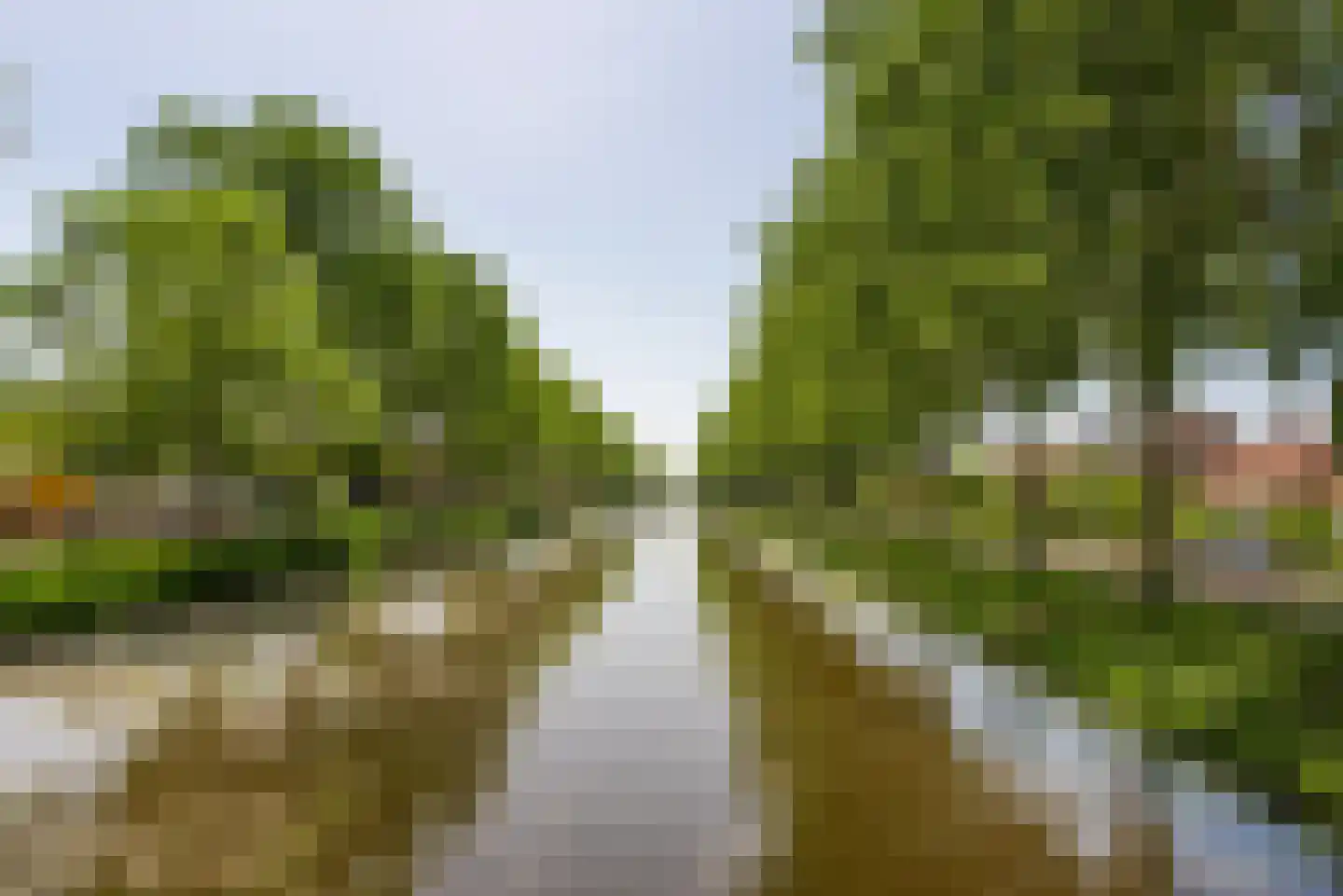 Hoofdweg 117 Lijnden thumbnail 33