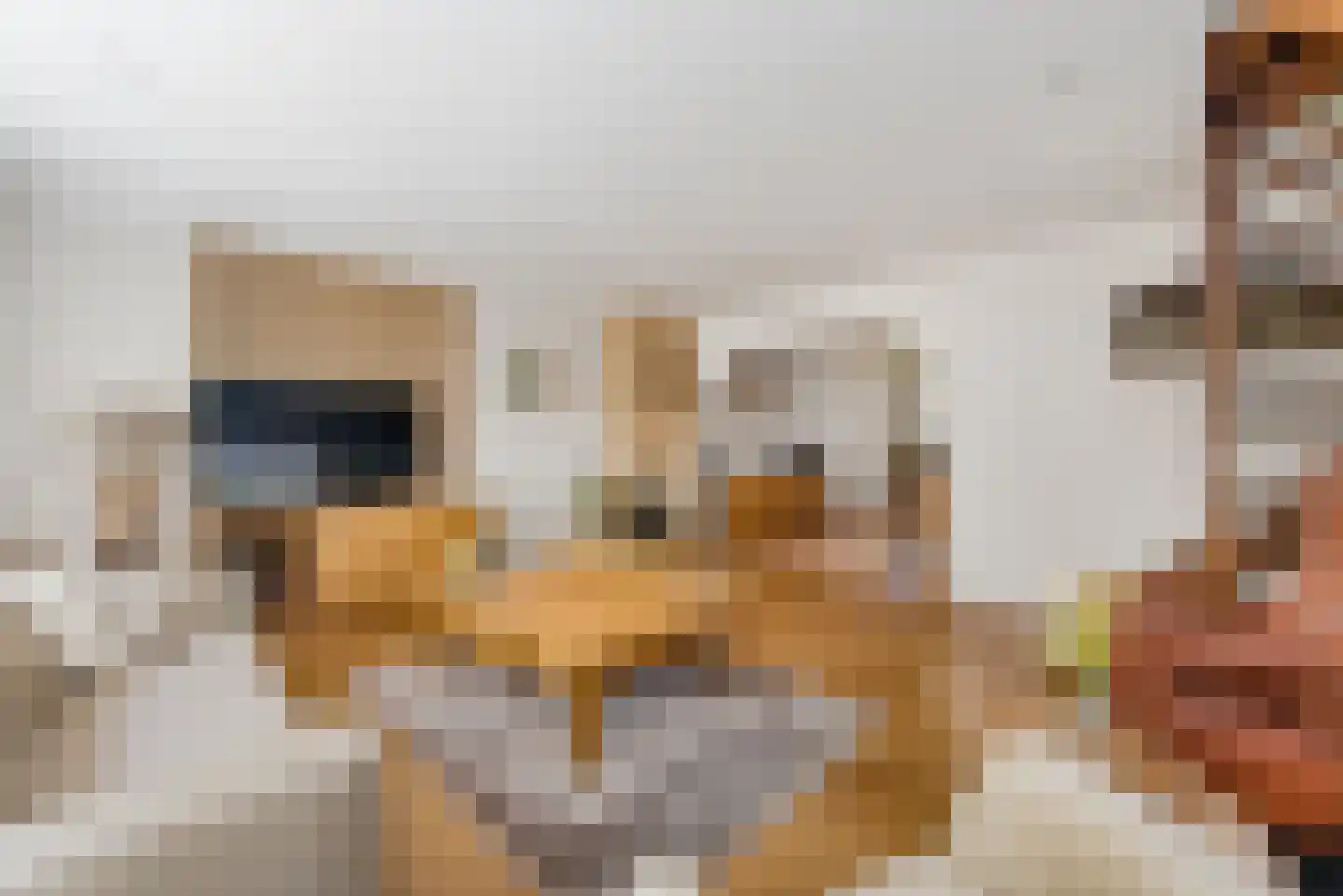 Hoofdweg 117 Lijnden thumbnail 5