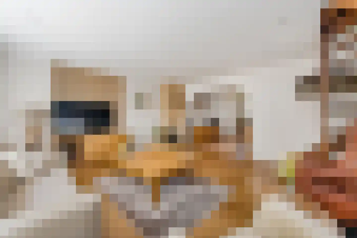 Hoofdweg 117 Lijnden thumbnail 5