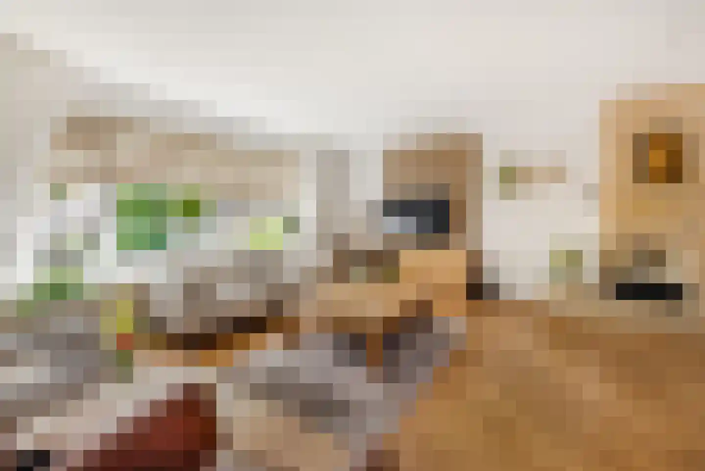 Hoofdweg 117 Lijnden thumbnail 6