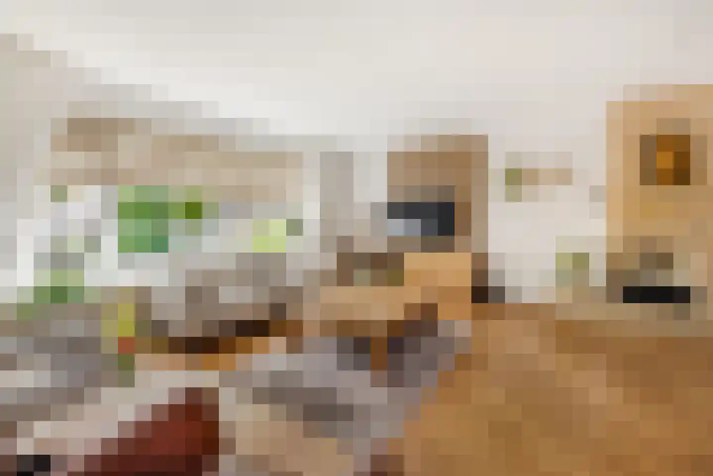 Hoofdweg 117 Lijnden thumbnail 6