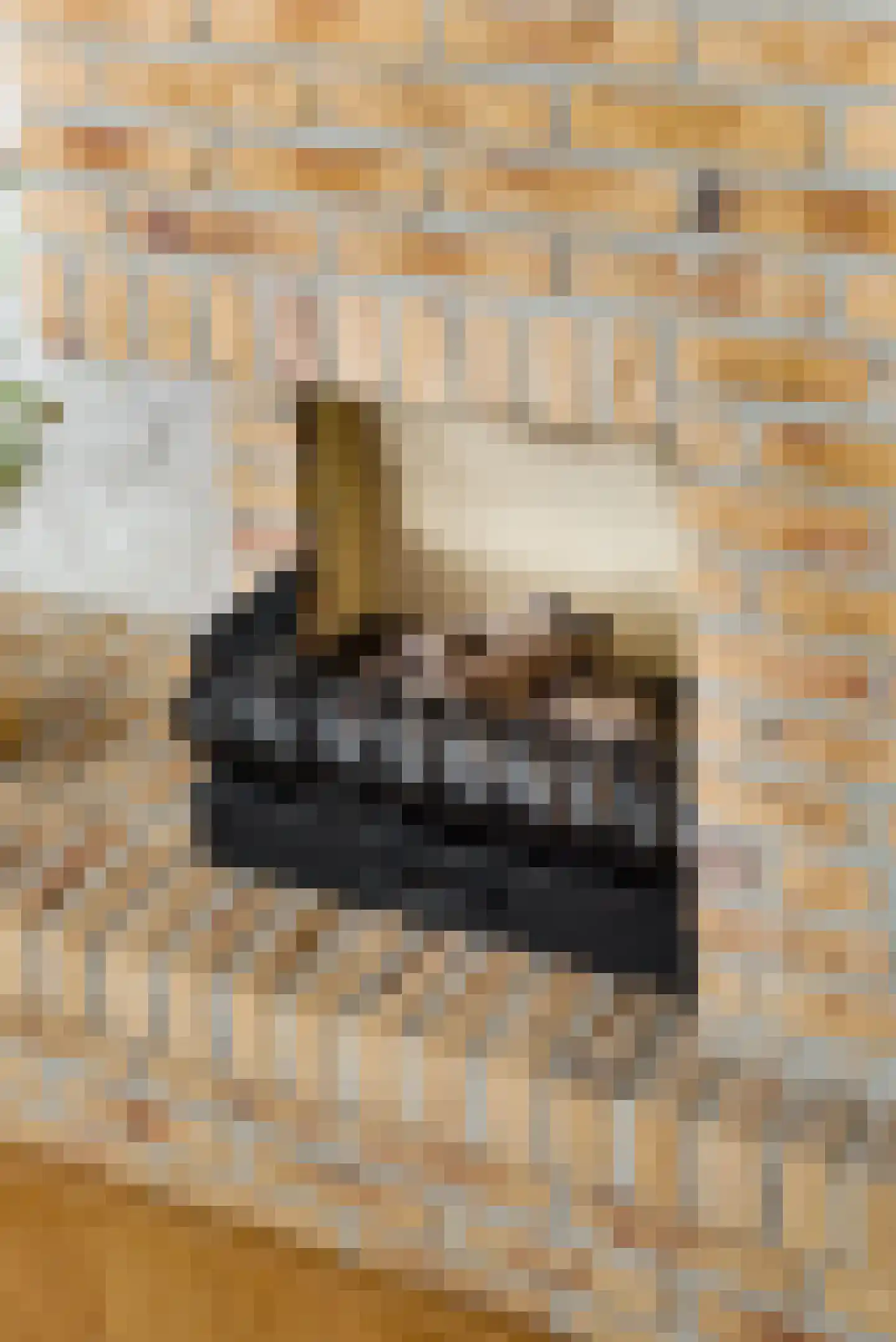 Hoofdweg 117 Lijnden thumbnail 7