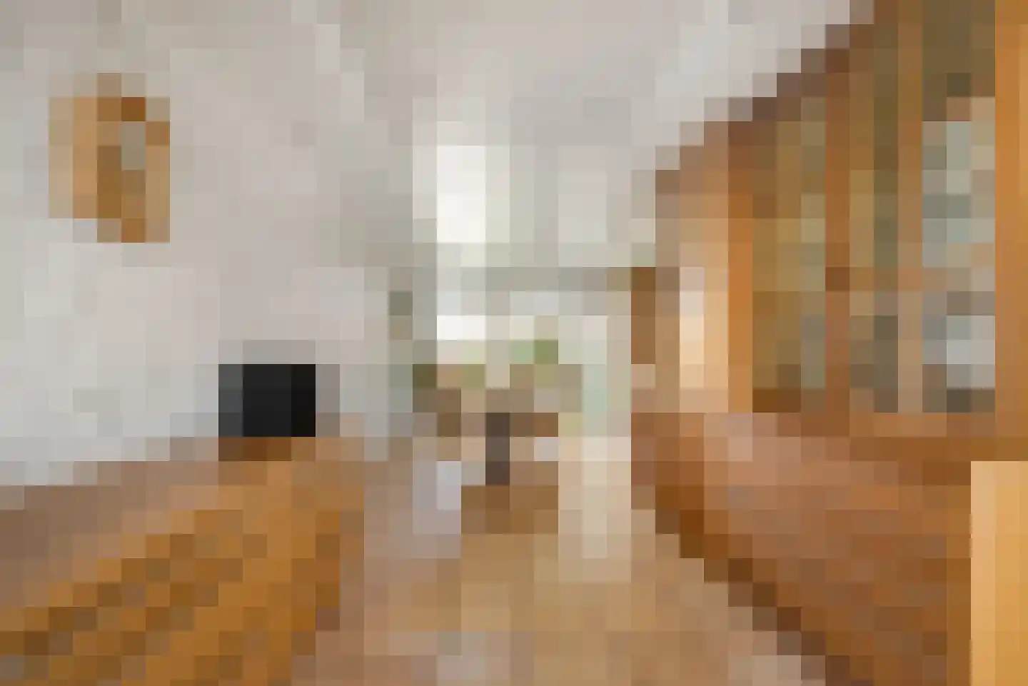 Hoofdweg 117 Lijnden thumbnail 8