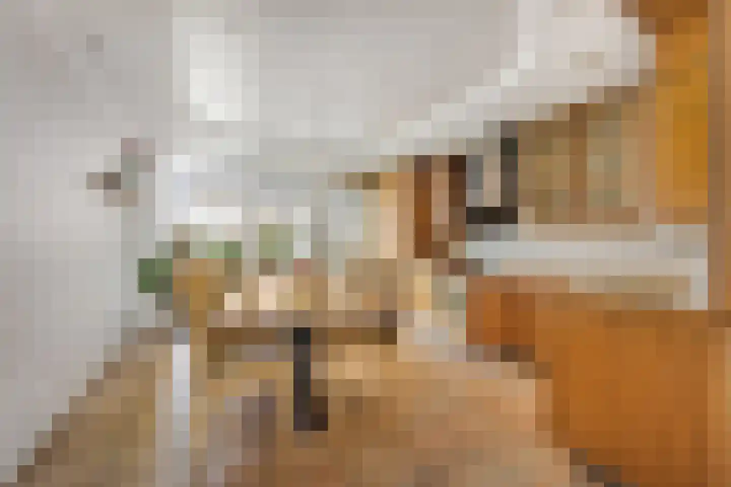 Hoofdweg 117 Lijnden thumbnail 9