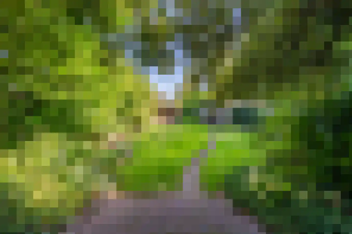 Hoofdweg 118 Bellingwolde thumbnail 13