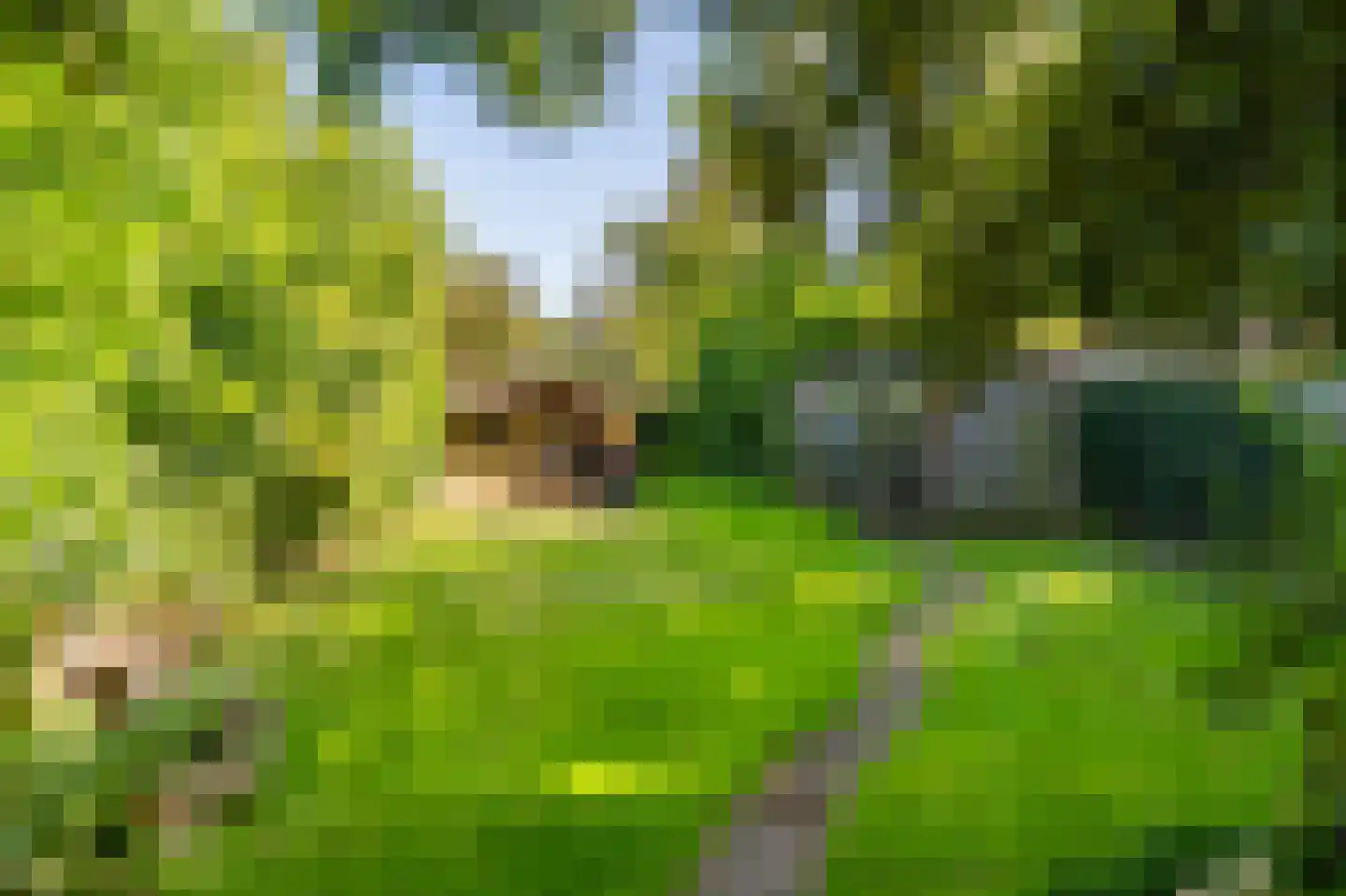Hoofdweg 118 Bellingwolde thumbnail 14