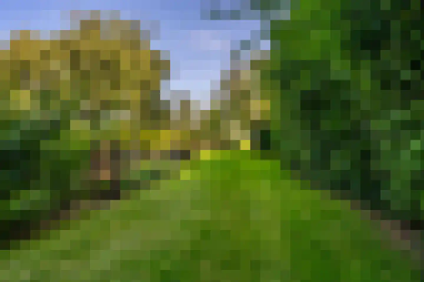 Hoofdweg 118 Bellingwolde thumbnail 16