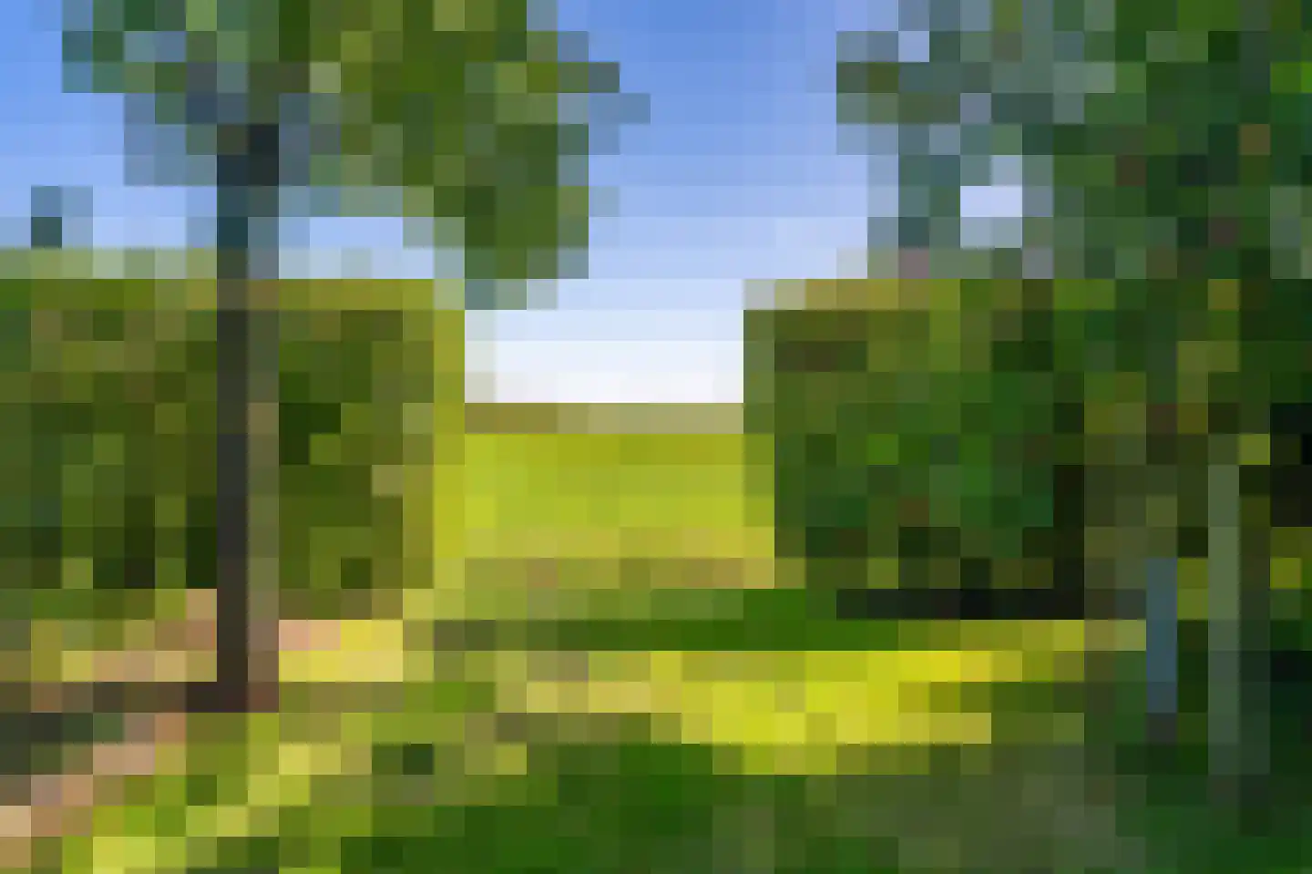 Hoofdweg 118 Bellingwolde thumbnail 18
