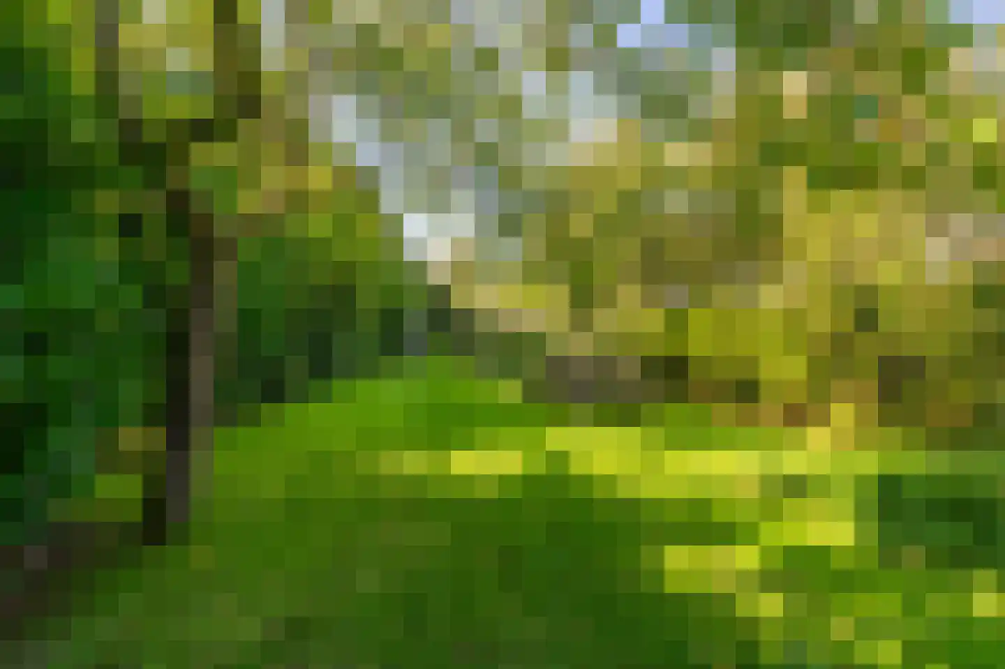 Hoofdweg 118 Bellingwolde thumbnail 21