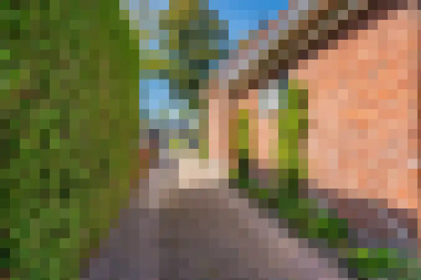 Hoofdweg 118 Bellingwolde thumbnail 24