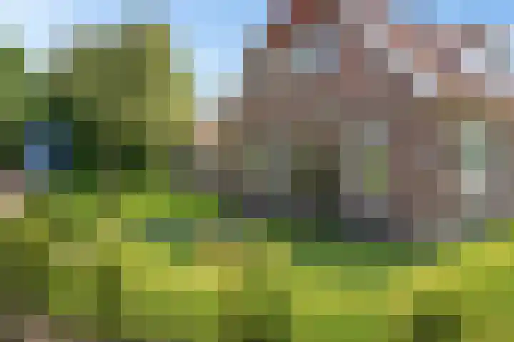 Hoofdweg 119 Smilde thumbnail 4