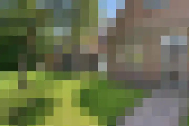 Hoofdweg 119 Smilde thumbnail 8