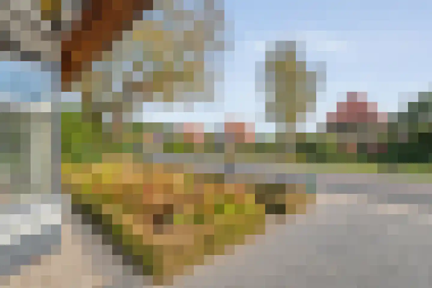 Hoofdweg 12 Nijensleek thumbnail 13